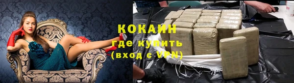 сатива Новодвинск