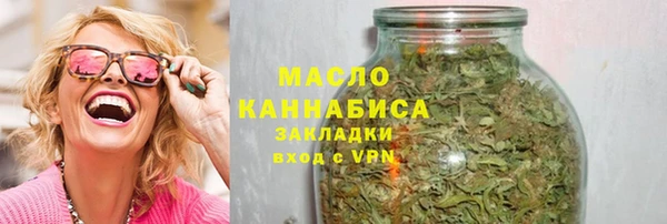 твердый Новозыбков