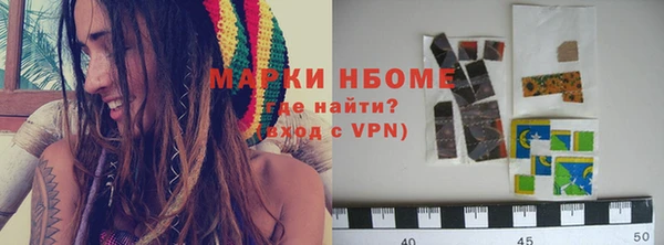твердый Новозыбков