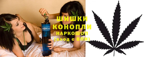 прущие грибы Нязепетровск