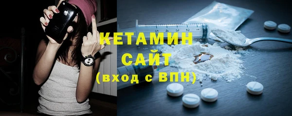 сатива Новодвинск