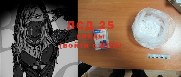 твердый Новозыбков