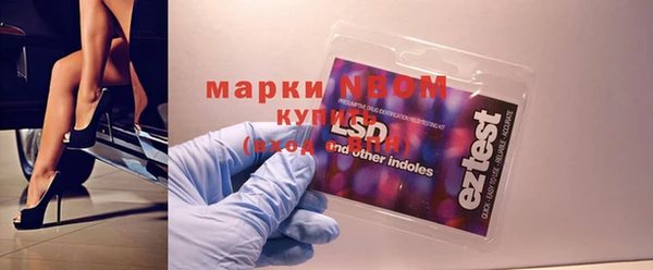 твердый Новозыбков