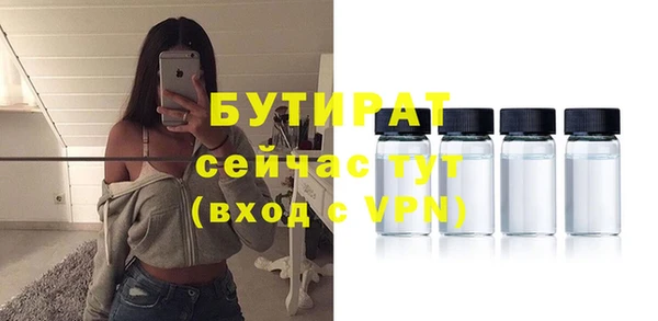 твердый Новозыбков