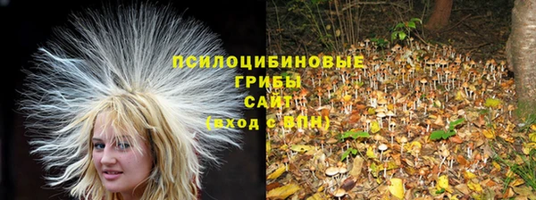 твердый Нягань