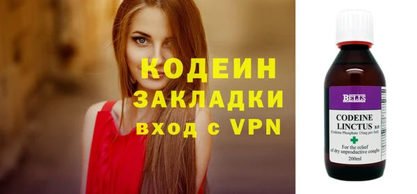 сатива Новодвинск