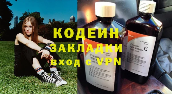 сатива Новодвинск