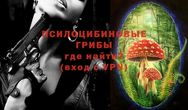 прущие грибы Нязепетровск