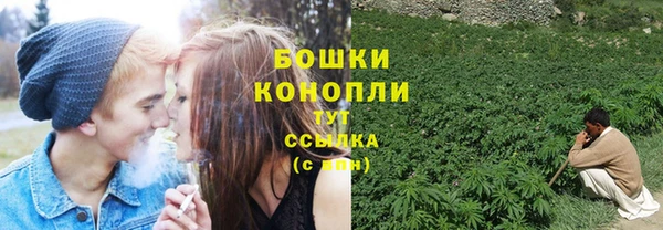 прущие грибы Нязепетровск