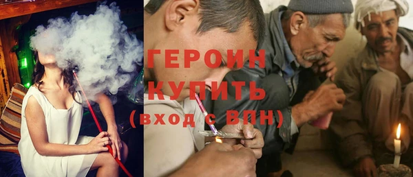 сатива Новодвинск