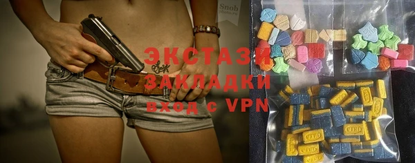 твердый Новозыбков